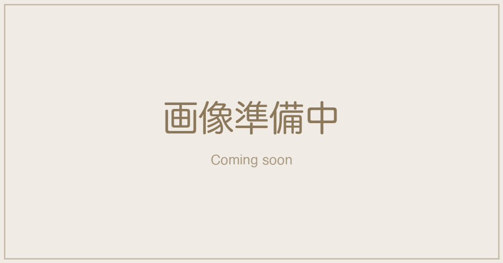  (画像準備中)